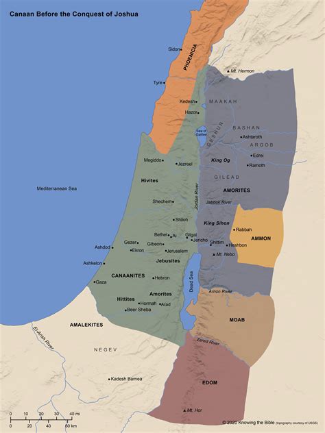 ai canaan|who are the canaanites today.